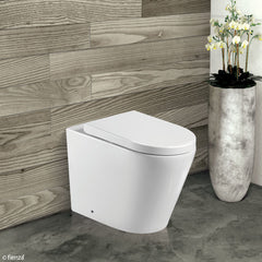 Fienza Isabella Wall-Faced Toilet Suite Fienza Isabella Wall-Faced Toilet Suite