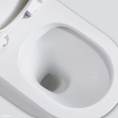Fienza Isabella Wall-Faced Toilet Suite Fienza Isabella Wall-Faced Toilet Suite