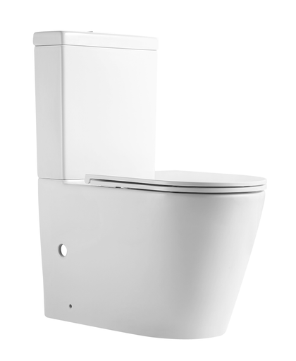 Back To Wall Toilet