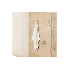 Caroma Titan Stainless Steel Shower and Rail with Round Hand Shower