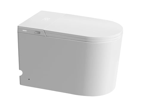 Byron Smart Toilet One-Piece Ceramic Instant Heating Tornado Flush – 7 ...