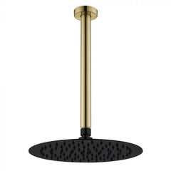 Fienza Kaya Urban Brass Ceiling Arm and Matte Black Rose