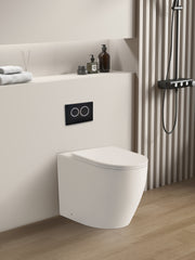 Elvera Extra Height Inwall Toilet Suite (suitable for Ambulant)