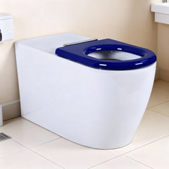 Asta Geberit Inwall Accessible Toilet Suite