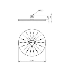 Phoenix NX Vive 250mm Shower Rose