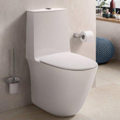 Fienza RAK Sensation Back-to-Wall Toilet Suite