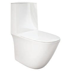 Fienza RAK Sensation Back-to-Wall Toilet Suite