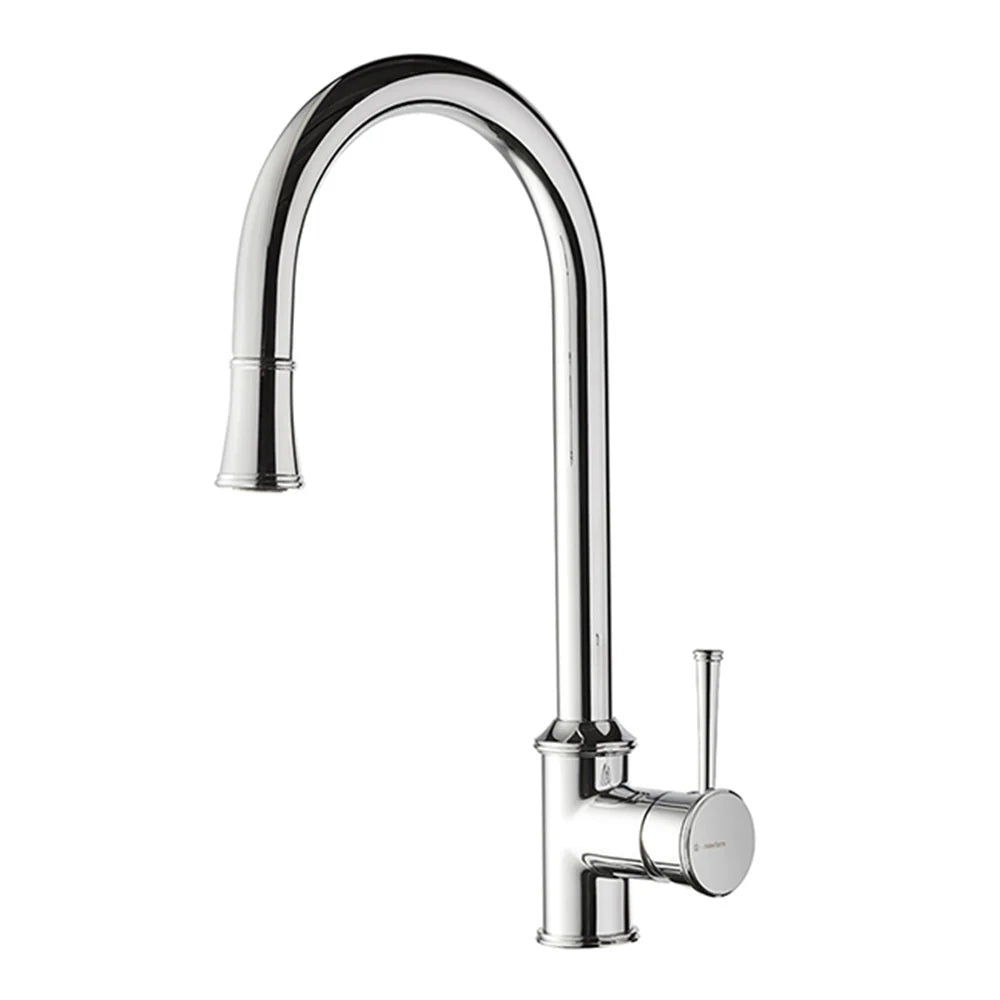 Parisi Real Kitchen Mixer with Pull Out Spray - Chrome