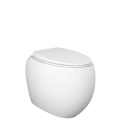 Fienza RAK Cloud Wall-Faced Toilet Suite