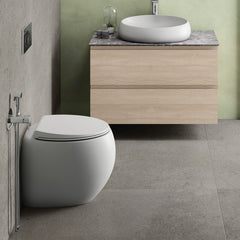 Fienza RAK Cloud Wall-Faced Toilet Suite