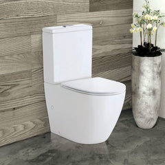 Fienza Koko Slim Seat Back-to-Wall Toilet Suite