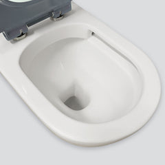 Fienza Stella Care Back-to-Wall Toilet Suite, Grey Seat