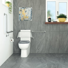 Fienza Stella Care Back-to-Wall Toilet Suite, Grey Seat