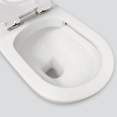 Fienza Stella Care Back-to-Wall Toilet Suite, White Seat