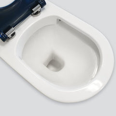 Fienza Stella Care Back-to-Wall Toilet Suite, Blue Seat