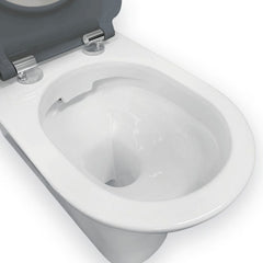 Fienza Delta Care Back-to-Wall Toilet Suite, Grey Seat
