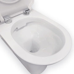 Fienza Delta Care Back-to-Wall Toilet Suite, White Seat, Raised Buttons