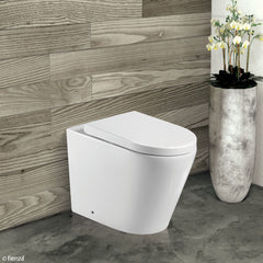 Fienza Isabella Wall-Faced Toilet Suite