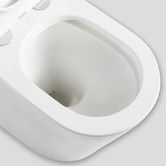 Fienza Kaya Back-to-Wall Toilet Suite