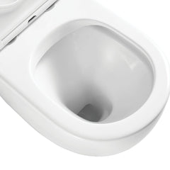 Fienza Alix Ambulant Wall-Faced Toilet Suite, Slim Seat