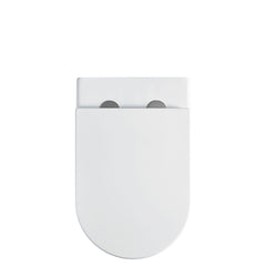 Fienza Alix Ambulant Wall-Faced Toilet Suite