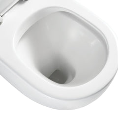 Fienza Alix Ambulant Wall-Faced Toilet Suite