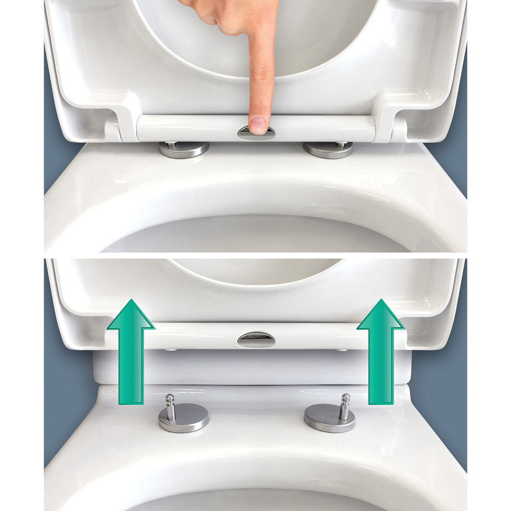 Fienza Escola Back-to-Wall Toilet Suite