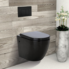 Fienza R&T In-Wall Cistern for Wall-Hung Pan