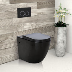Fienza R&T In-Wall Cistern for Floor Mounted / Wall-Faced Pan