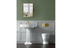 Claremont Brushed Brass Flush Plate Only Compatible W/ Geberit Cistern