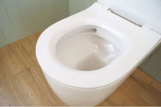 Narva Rimless Close Coupled Back to Wall Toilet Suite with Soft Close Quick Release Seat