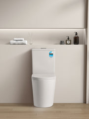 Avis Rimless Toilet Suite