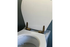 Claremont White Soft Close Toilet Seat – Antique Brass Hinges