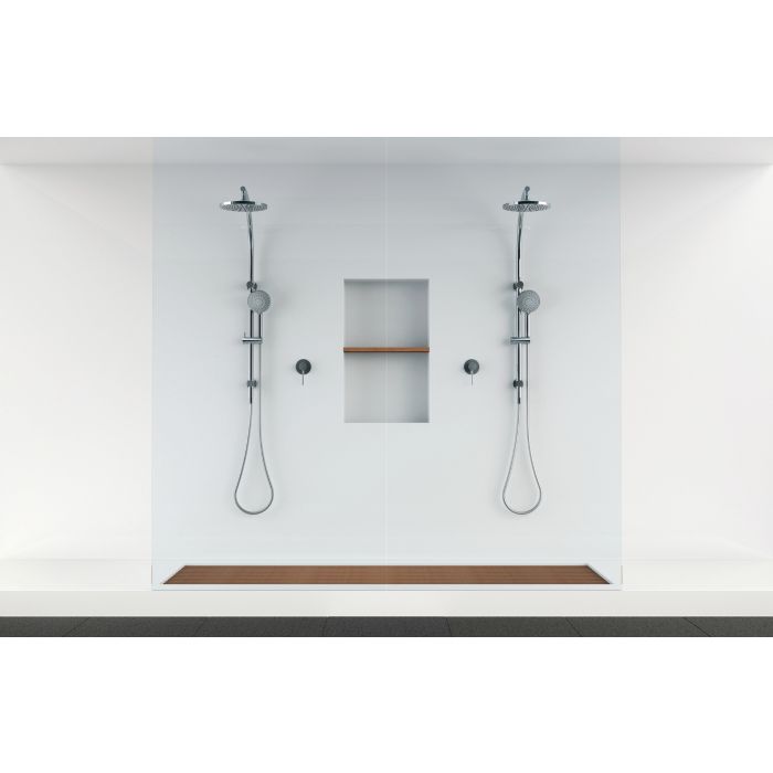 Phoenix Vivid Two In One Twin Shower Brushed Carbon
