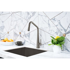 Linsol Elias Pull Out Sink Mixer Gun Metal