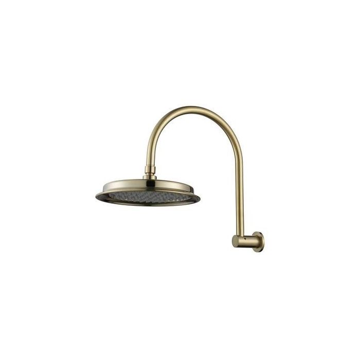 Modern National Montpellier Shower Arm and Rose Brushed Bronze