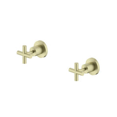 Nero X Plus Wall Top Assemblies - Brushed Gold